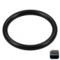 Preview: Arag O-Ring for Filter Insert series 319