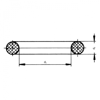 Rau O-Ring in Viton rg00037618