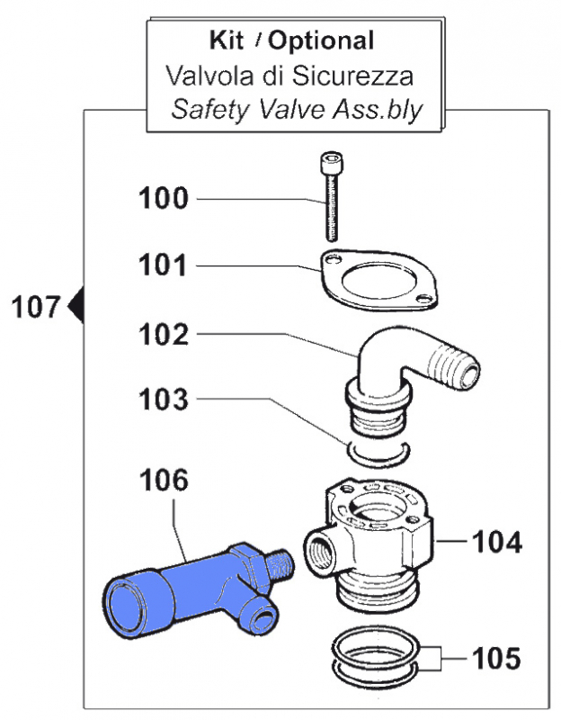 Safety Valve 1219004400 for Comet Pump BP 241-281 K