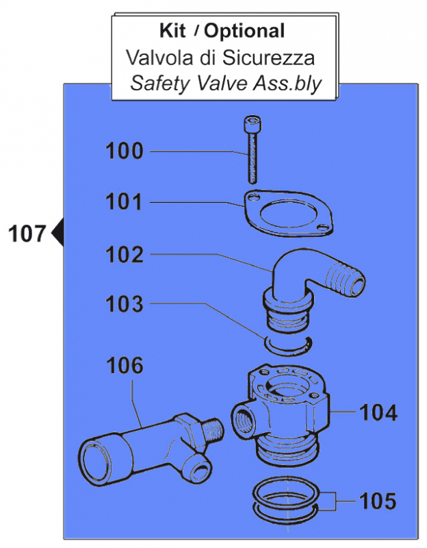 Safety Valve Kit 2803036500 for Comet Pump BP 241-281 K