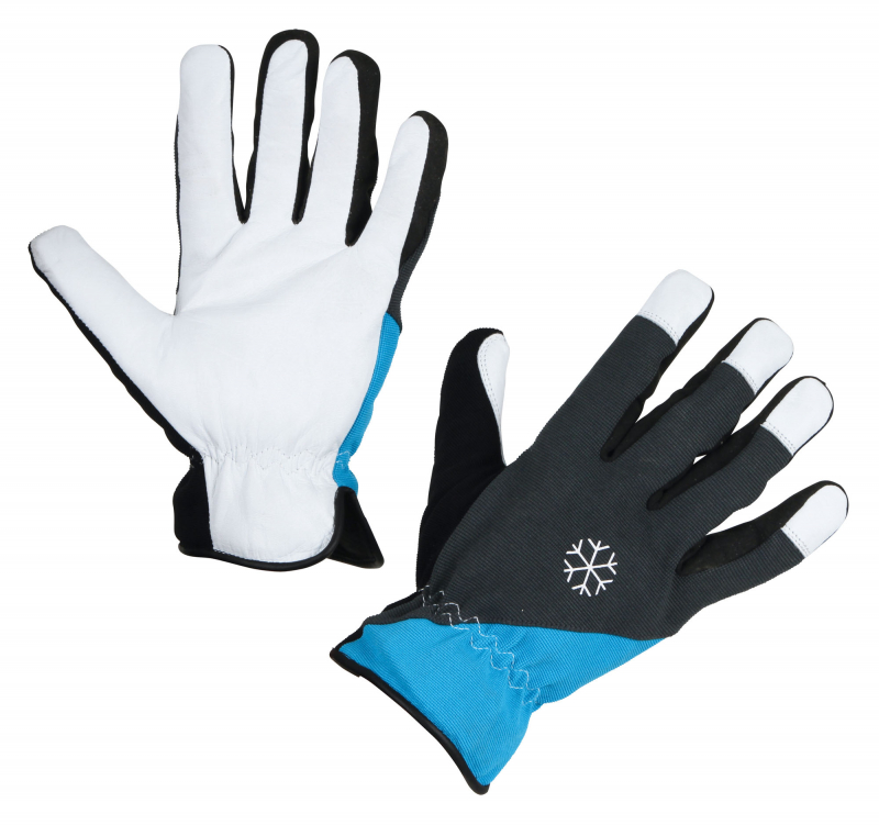 Winter Glove Polartex II