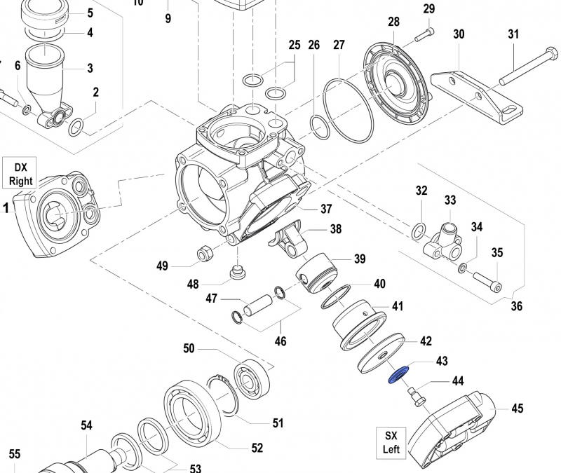 Membran Disc 0602003300 for Comet Pumps APS 31-41