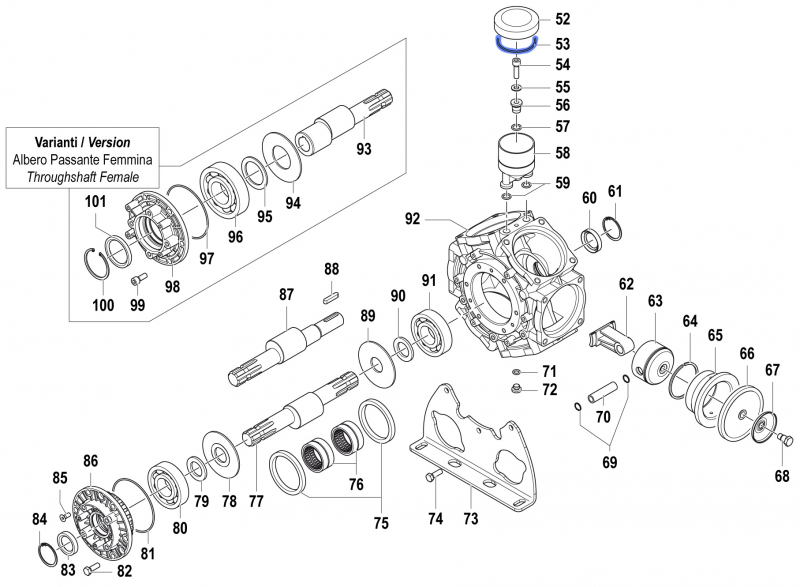 O-Ring 1210037300 Comet BPS 300