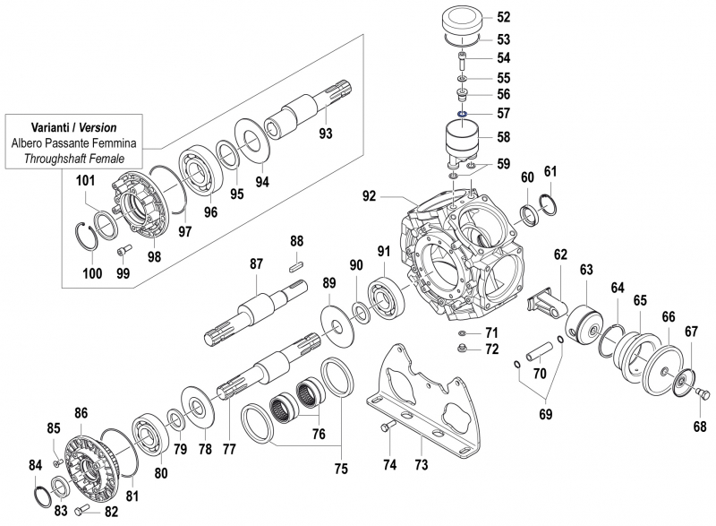 O-Ring 1210009300 for Comet BPS 300