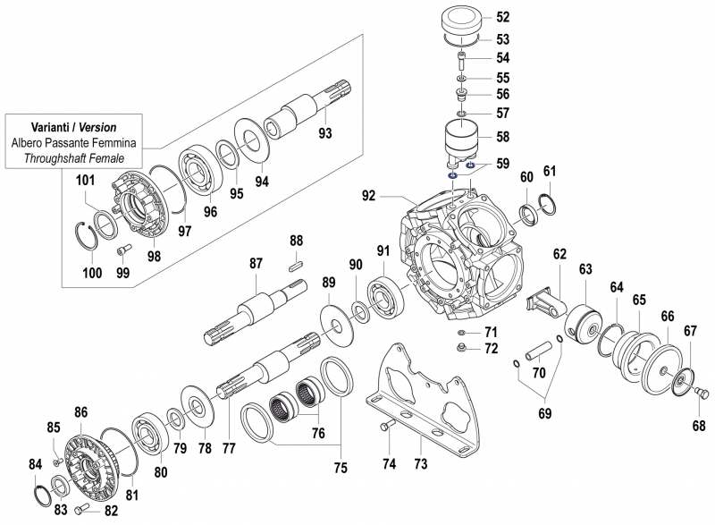 O-Ring 1210004600 für Comet Pumpe BPS 300