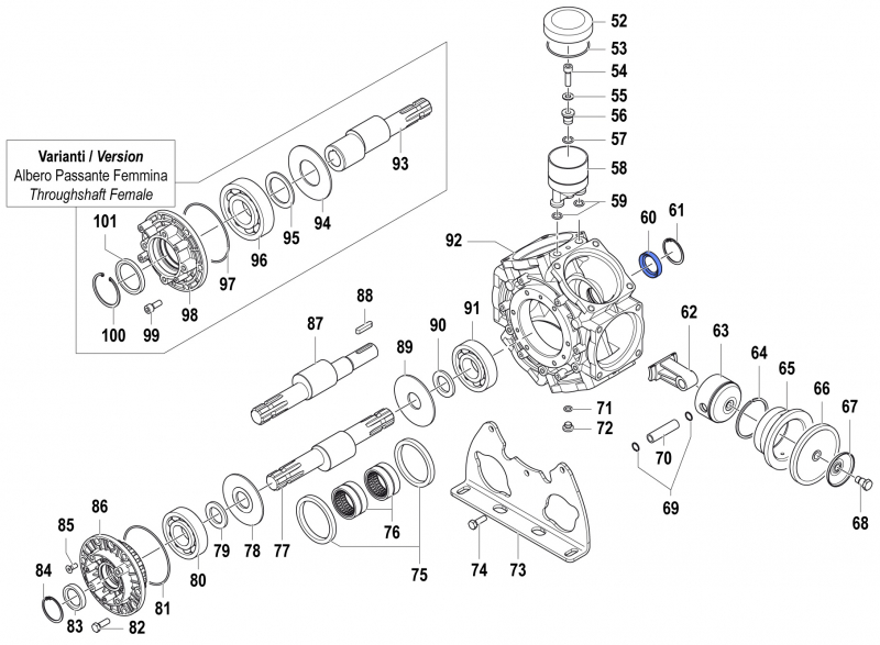 O-Ring 0019008300 für Comet Pumpe BPS 300