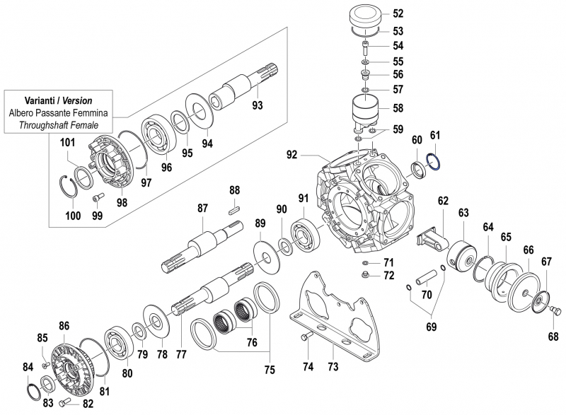 Seeger for Comet Pump BPS 300