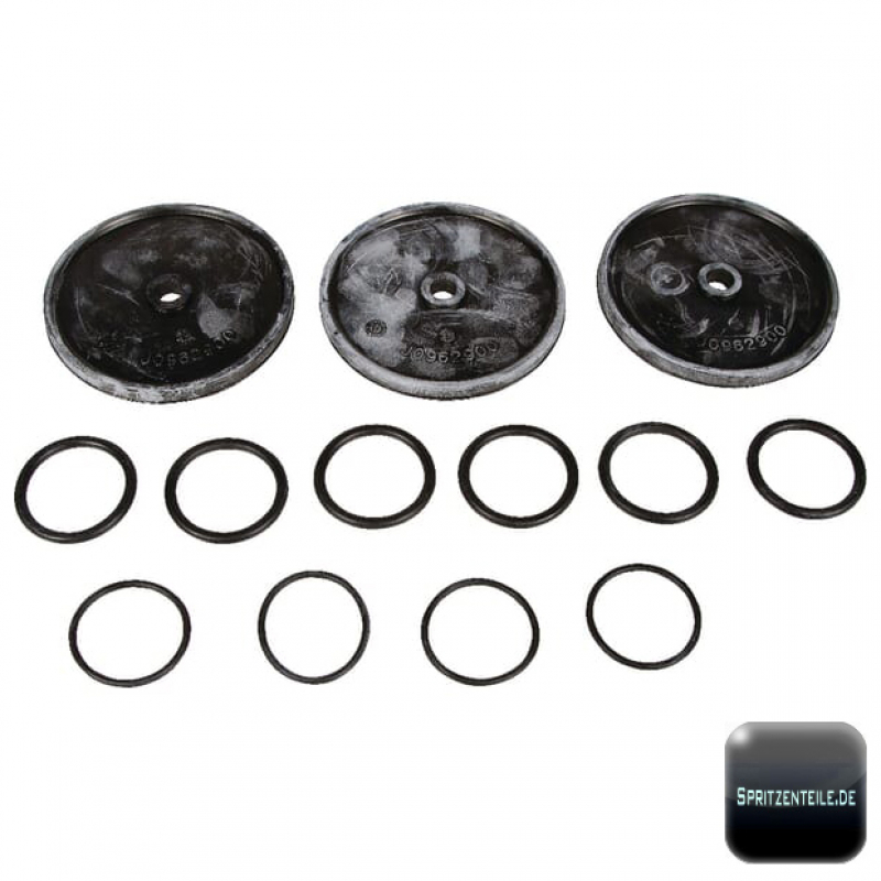 Bertolini Diaphragm Kit 639871973