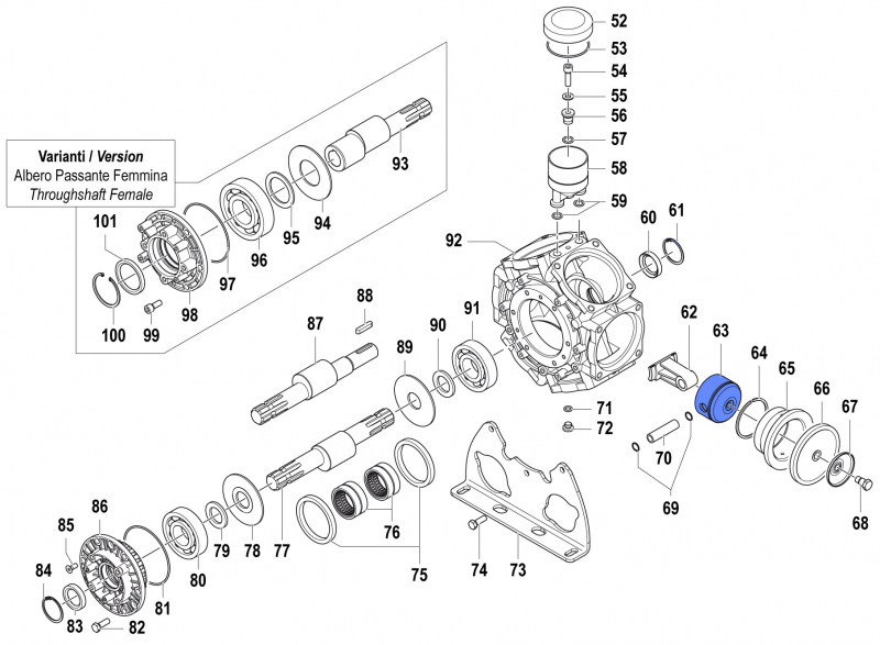 Kolben 2409015300 für Comet Pumpe BPS 300