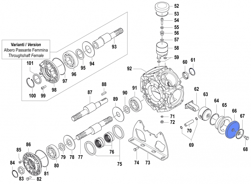 Comet Membrane für Pumpe BPS 300