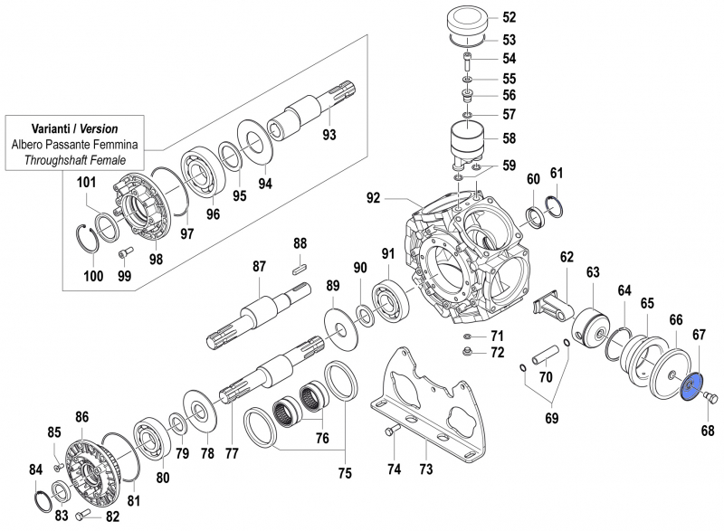 Membranplatte 0602007500 für Comet BPS 300