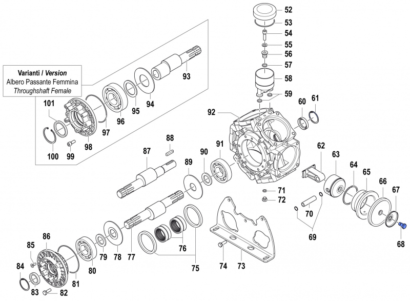 Schraube für Membrane für Comet BPS 300