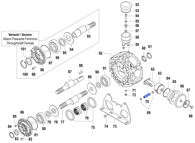 Gudgeon Pin 3011001100 for Comet BPS 300