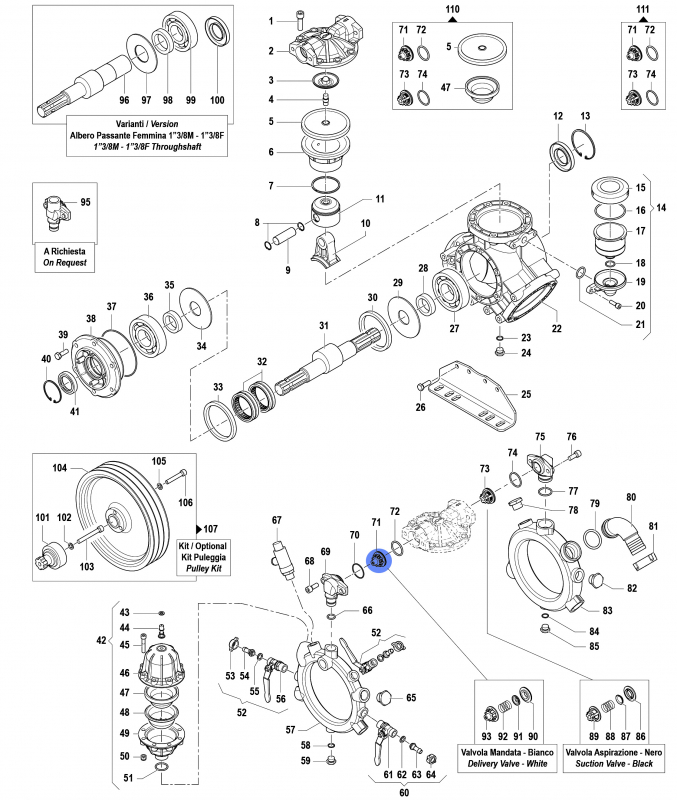 Druckventil Kit 1220009300 für Comet Pumpen IDS 1401