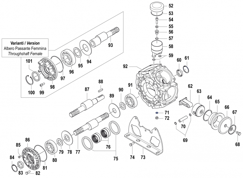 O-Ring 1210004400 für Comet BPS 300