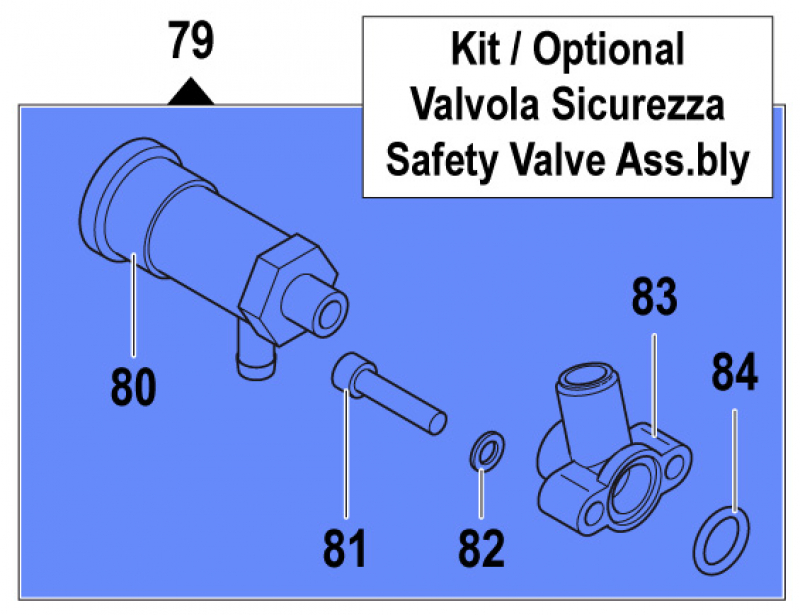 Safety Valve Kit 2803047800 for Comet Pumps APS 31-41
