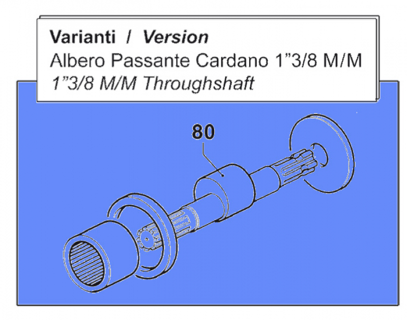 Throughshaft 0001009200 for Comet Pump BP 241-281 K