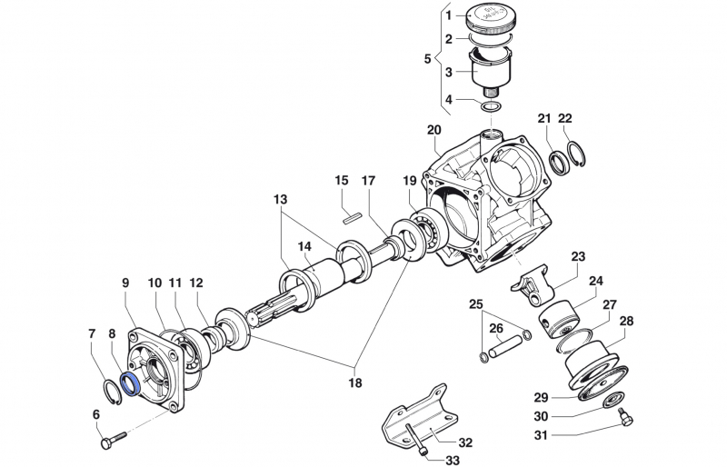 Oil Seal