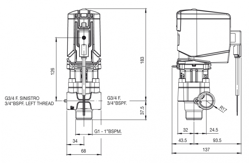 Braglia pressure regulator M202 electric