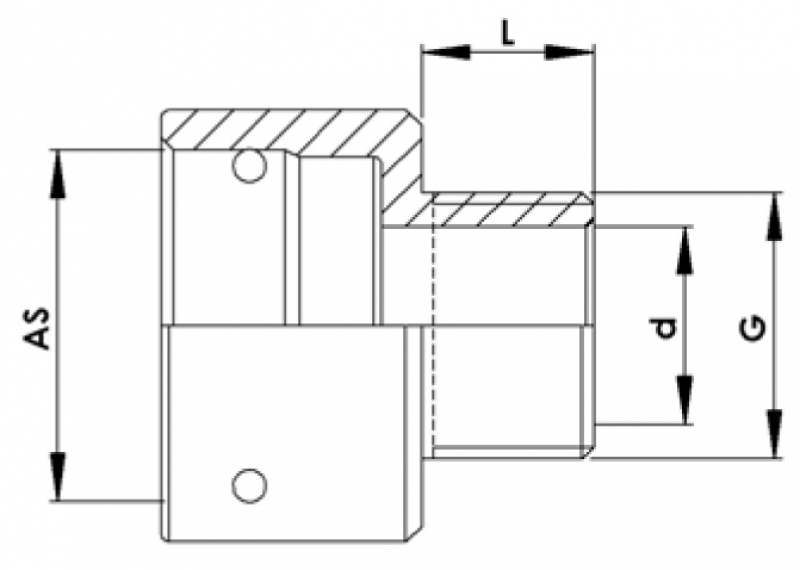 Rau pull over spout AS40 with male thread