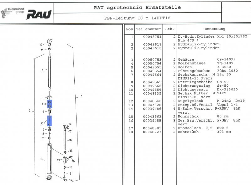 Rau Seal Kit RG00049556 for cylinder